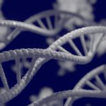genes still being studied for Parkinsons
